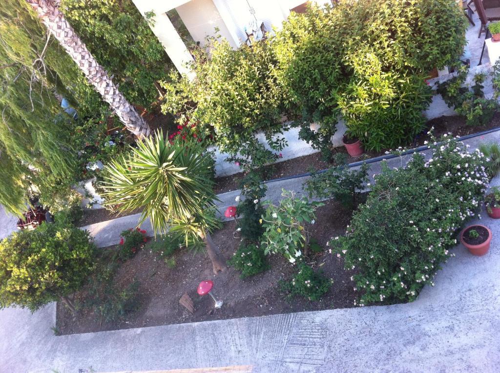 העיירה קוס Manine Apartments חדר תמונה